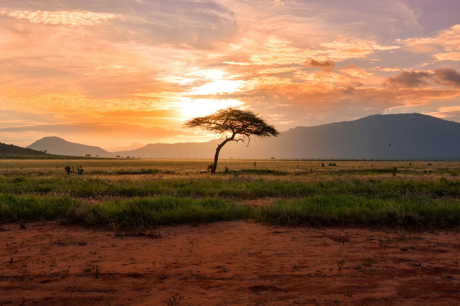 Paisagem do sul de Angola